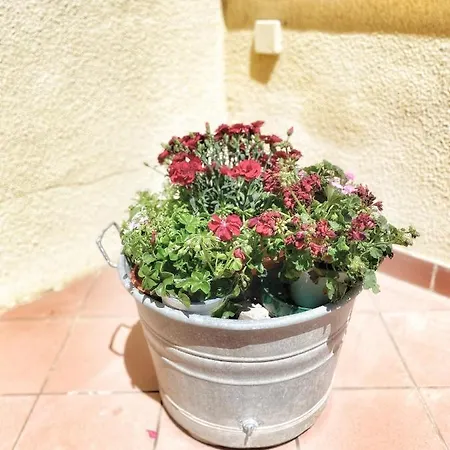 Casa Da Anna , Puglia * Pezze Di Greco